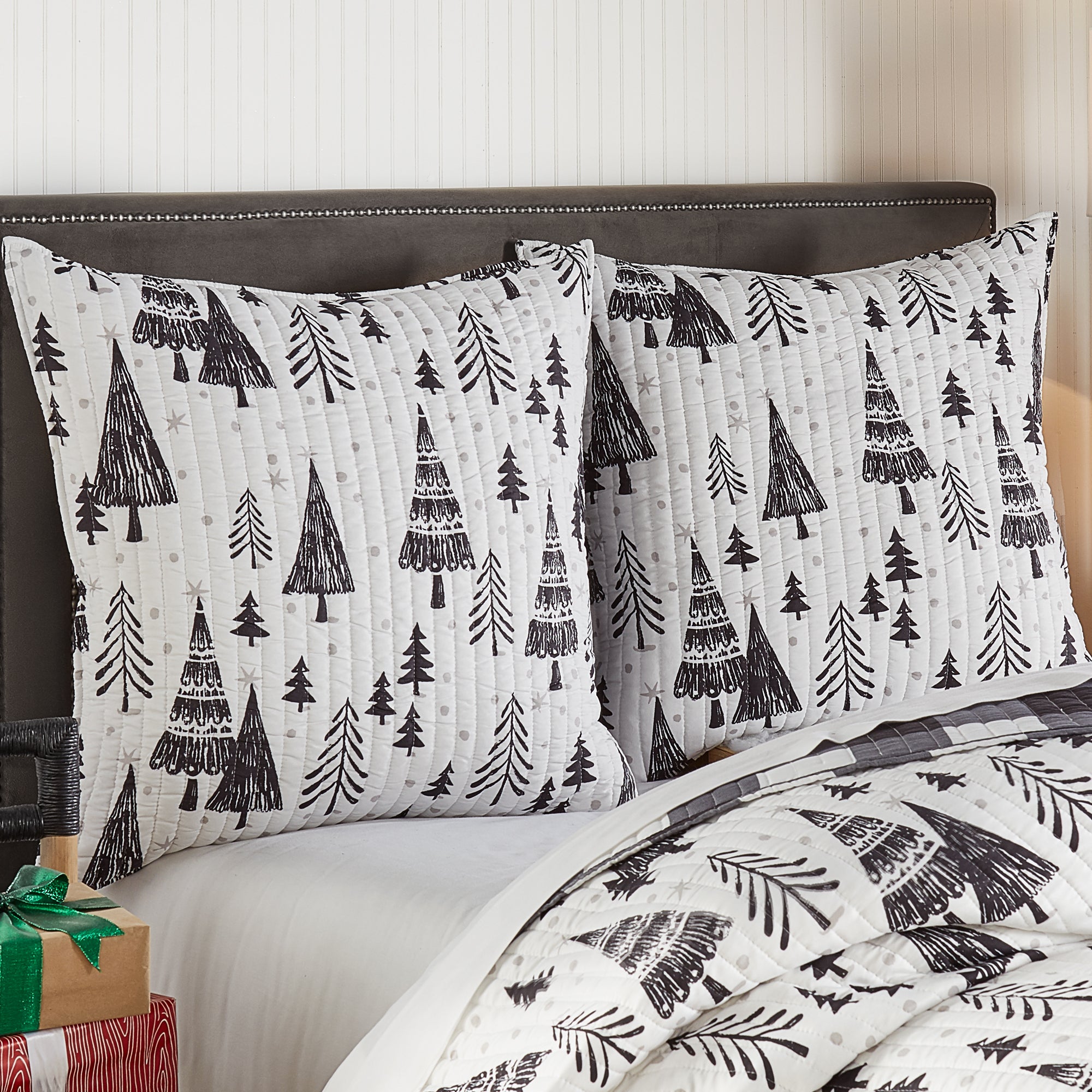 Levtex Home Northern Star Euro Sham Set of 2 Euro Shams