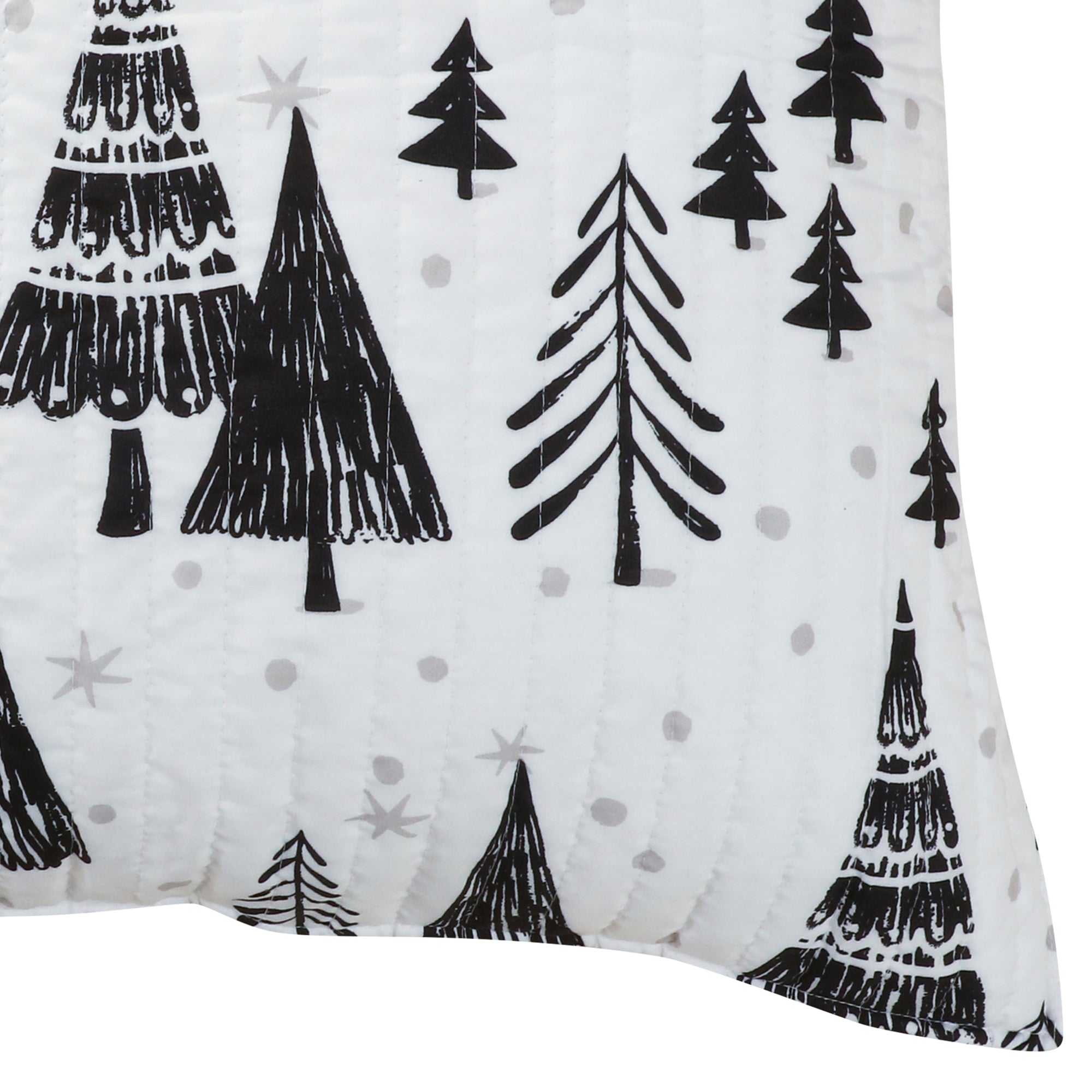 Levtex Home Northern Star Euro Sham Set of 2 Euro Shams