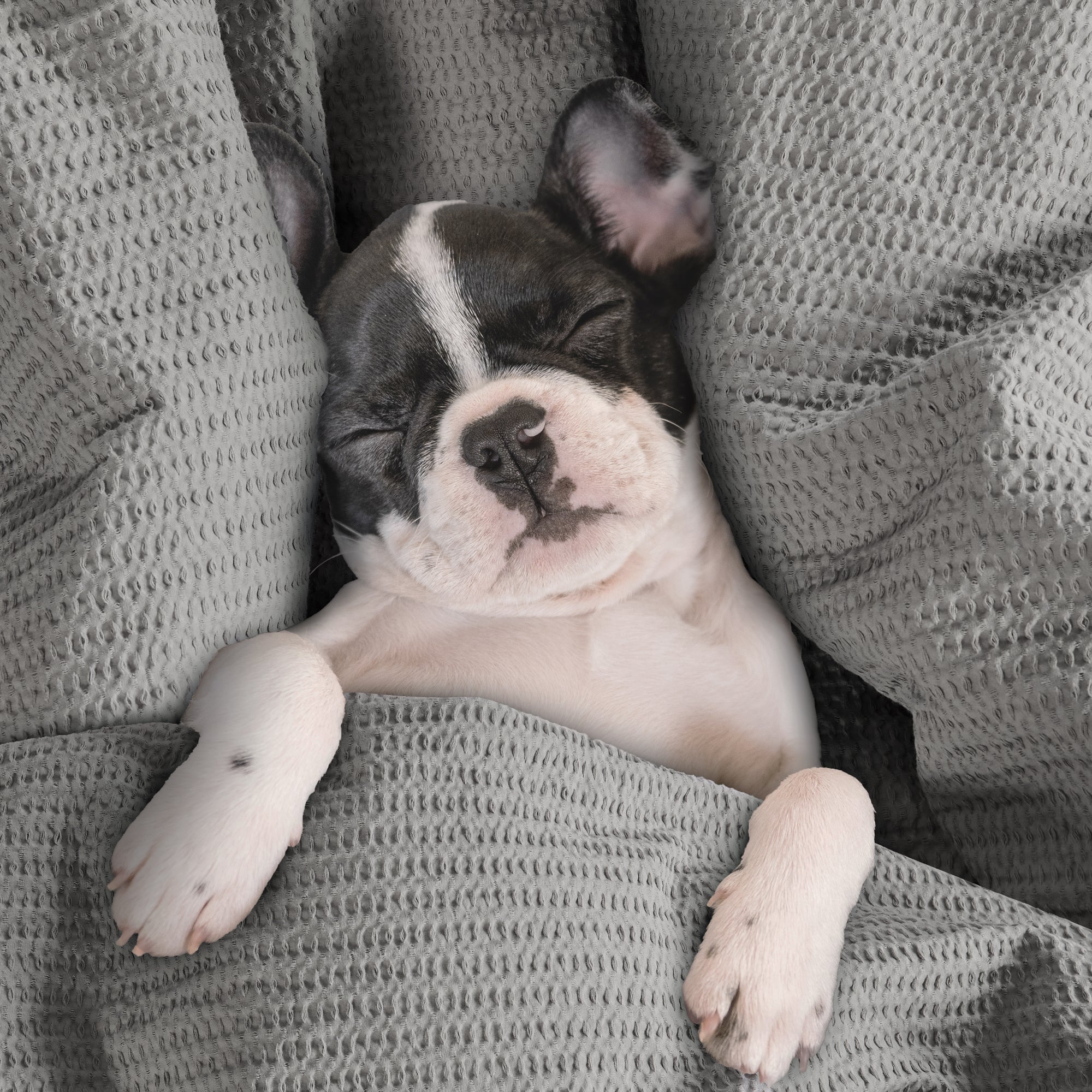 Levtex Home Cloud Waffle Quilt Set Quilts