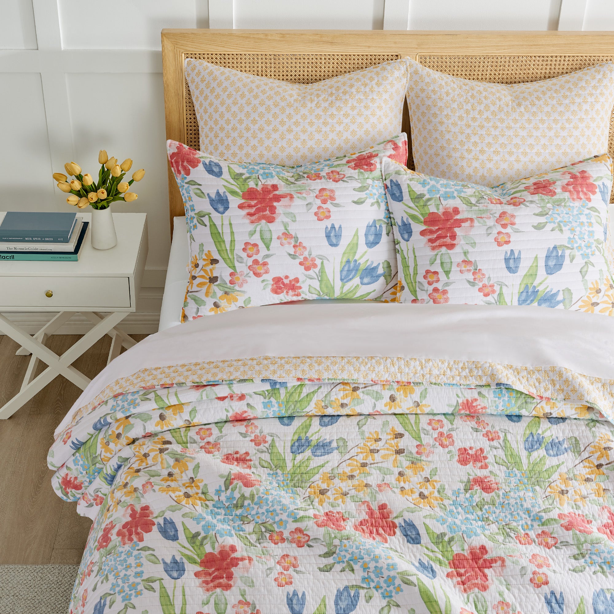 Levtex Home Radella Euro Sham Set of 2 Euro Shams