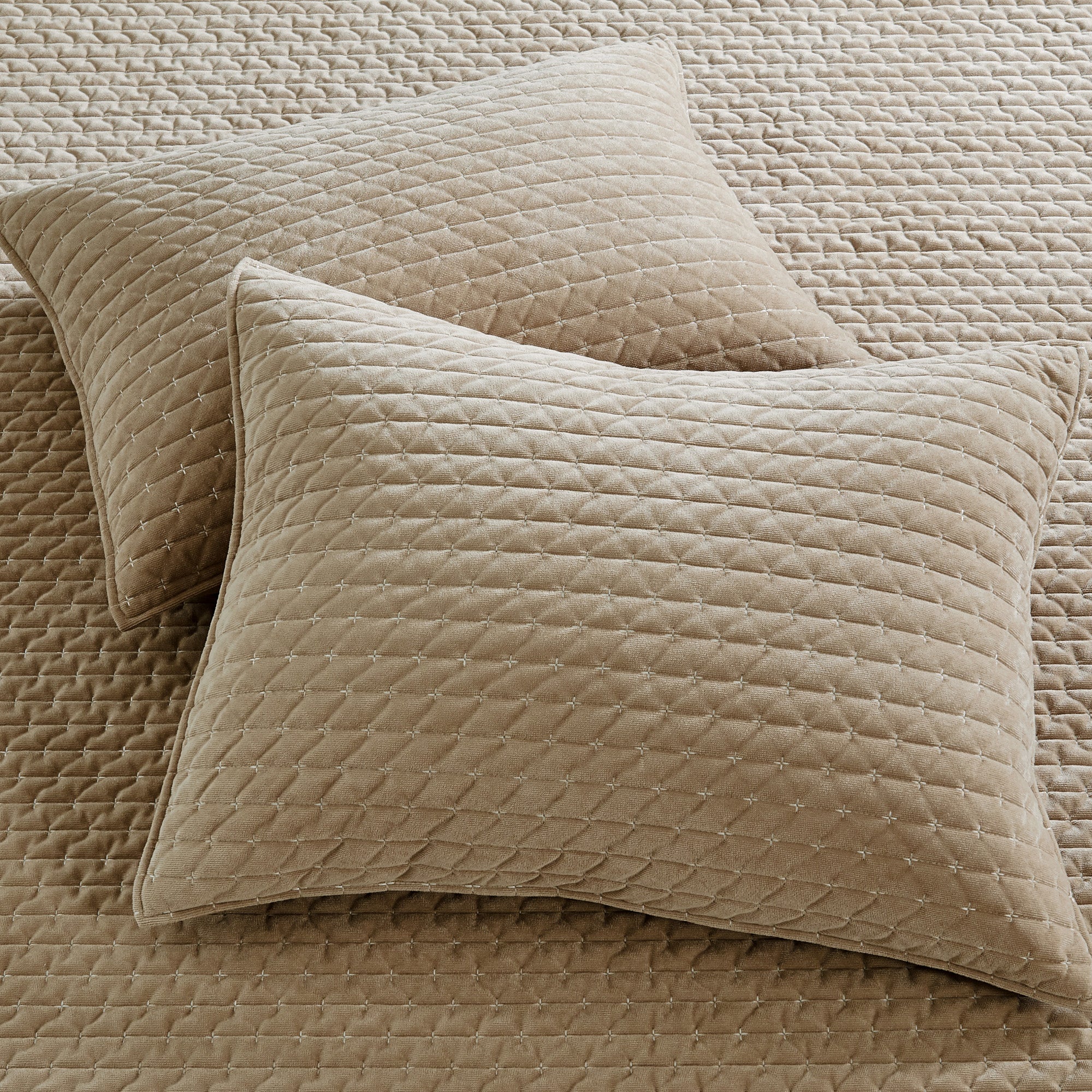 Levtex Home Velvet Stitch Quilt Set Quilts