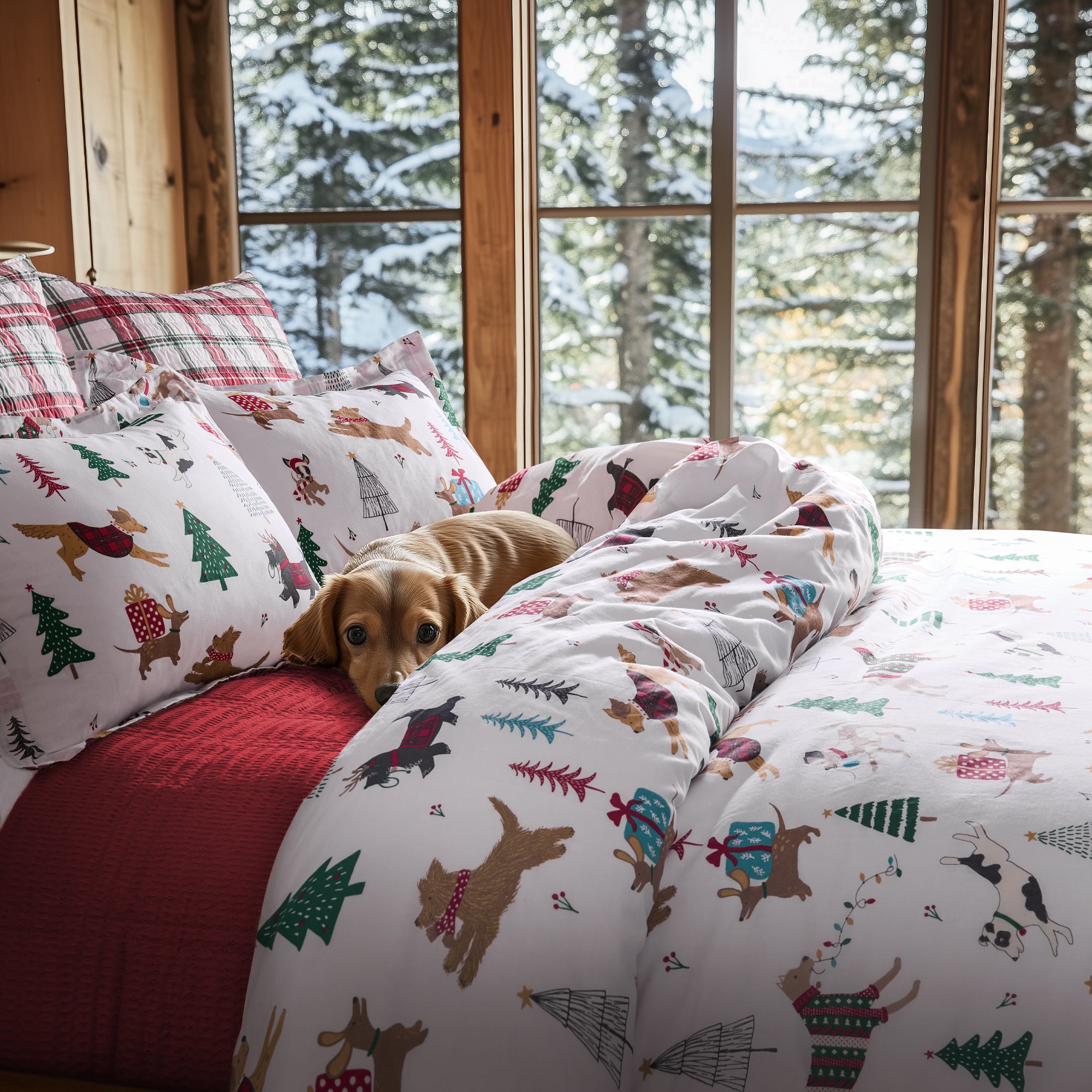 Jingle Paws Comforter Set