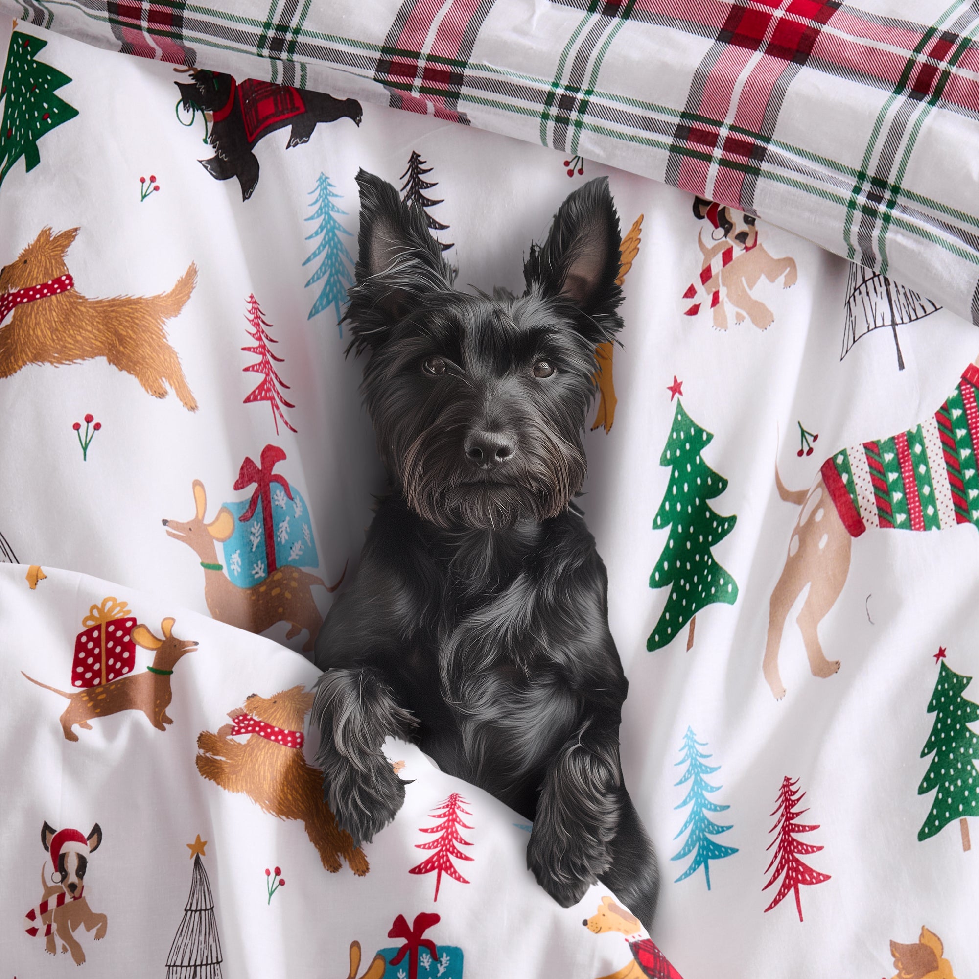 Jingle Paws Comforter Set