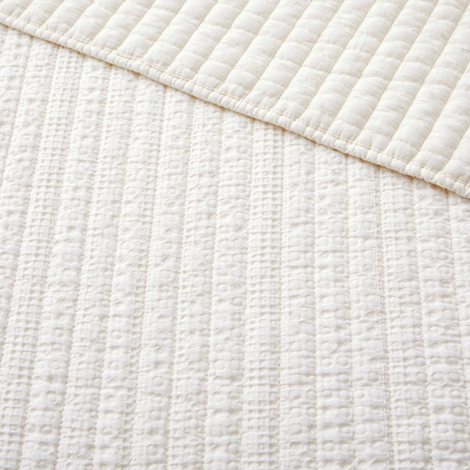 Levtex Home Loden Quilt Set Quilts