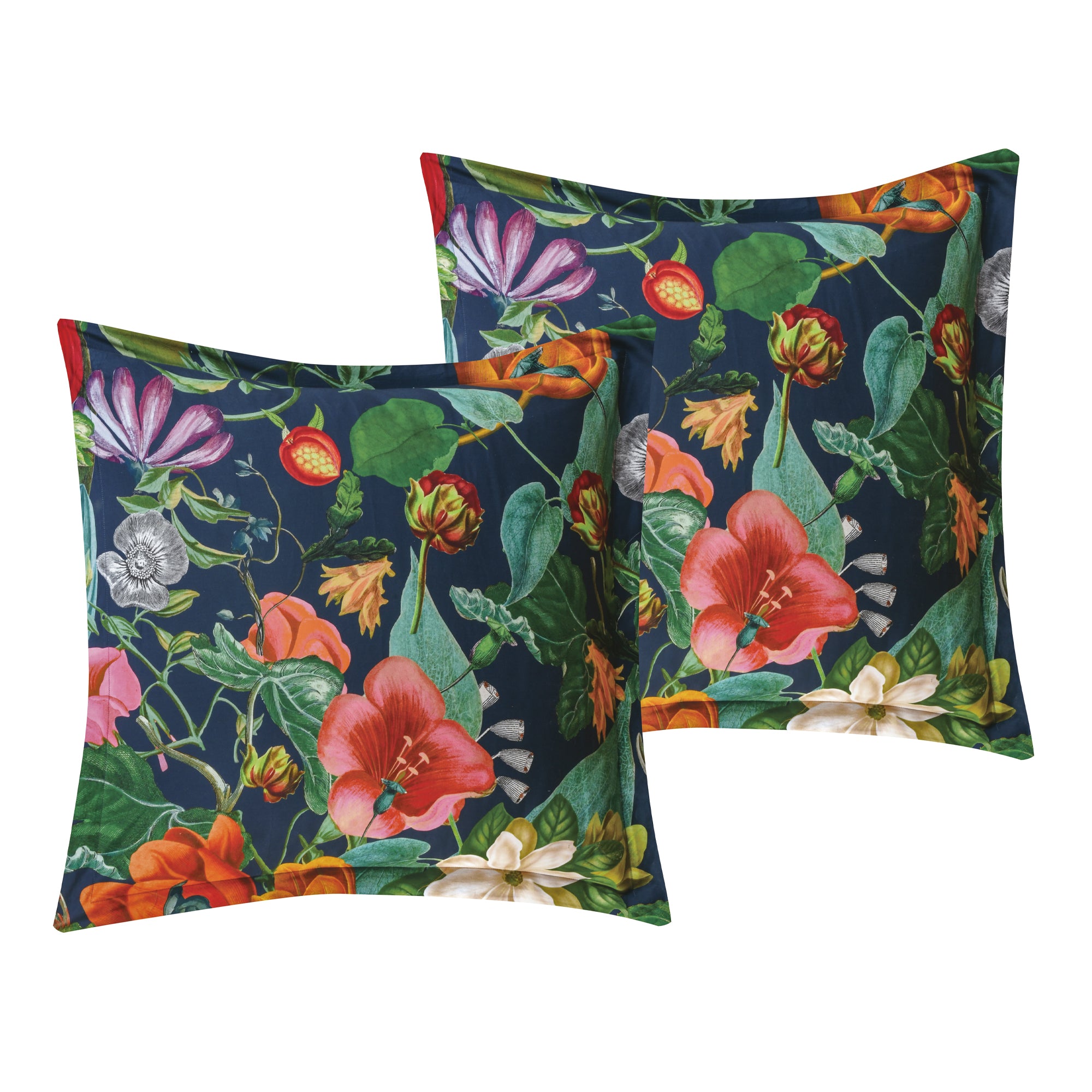 Bellara Euro Sham Set of 2