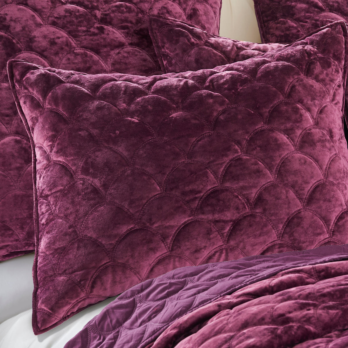 Gallery Detail: Birch Hill Ellora Plum Velvet Quilt Polyester