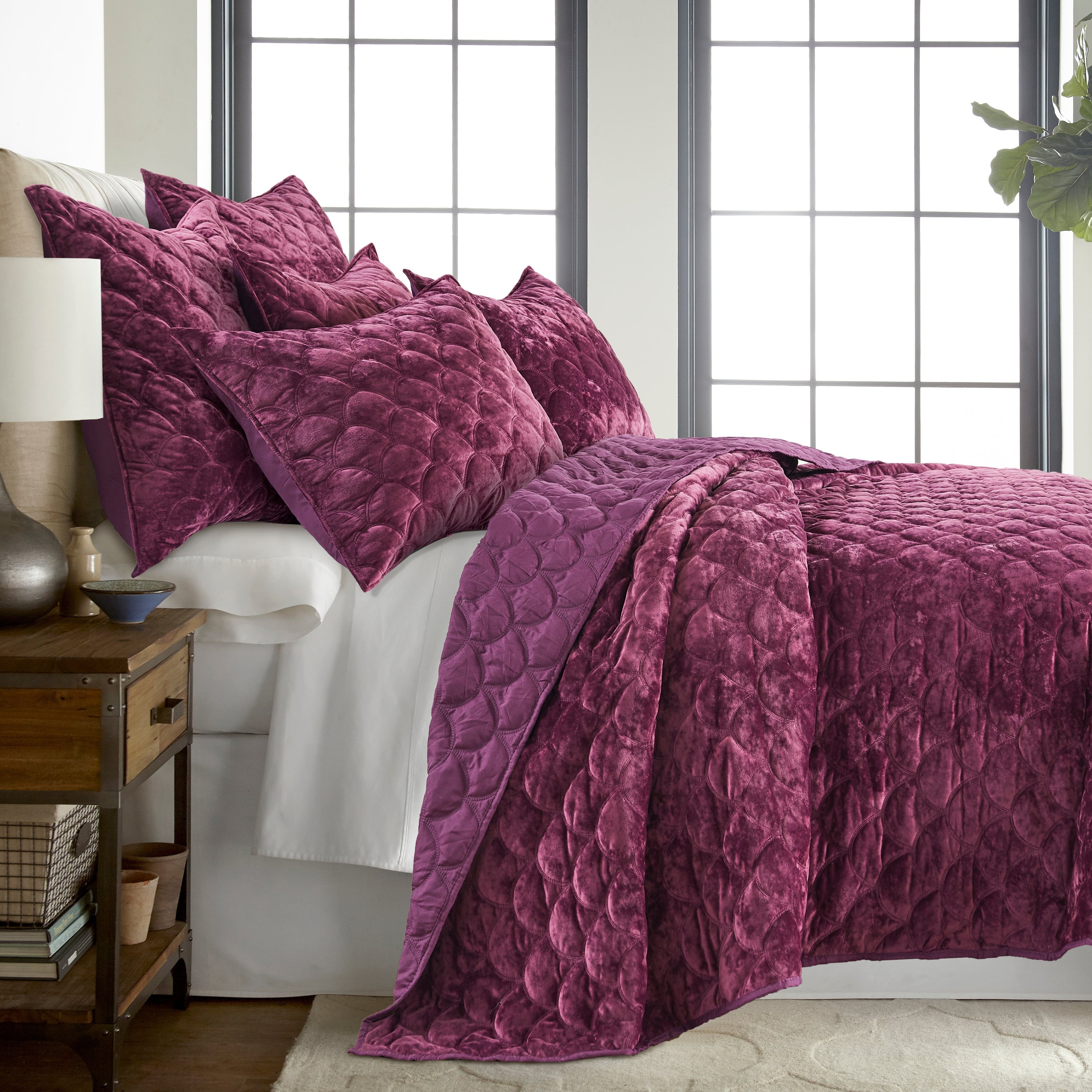 Levtex Home Ellora Plum Velvet Quilt Quilts