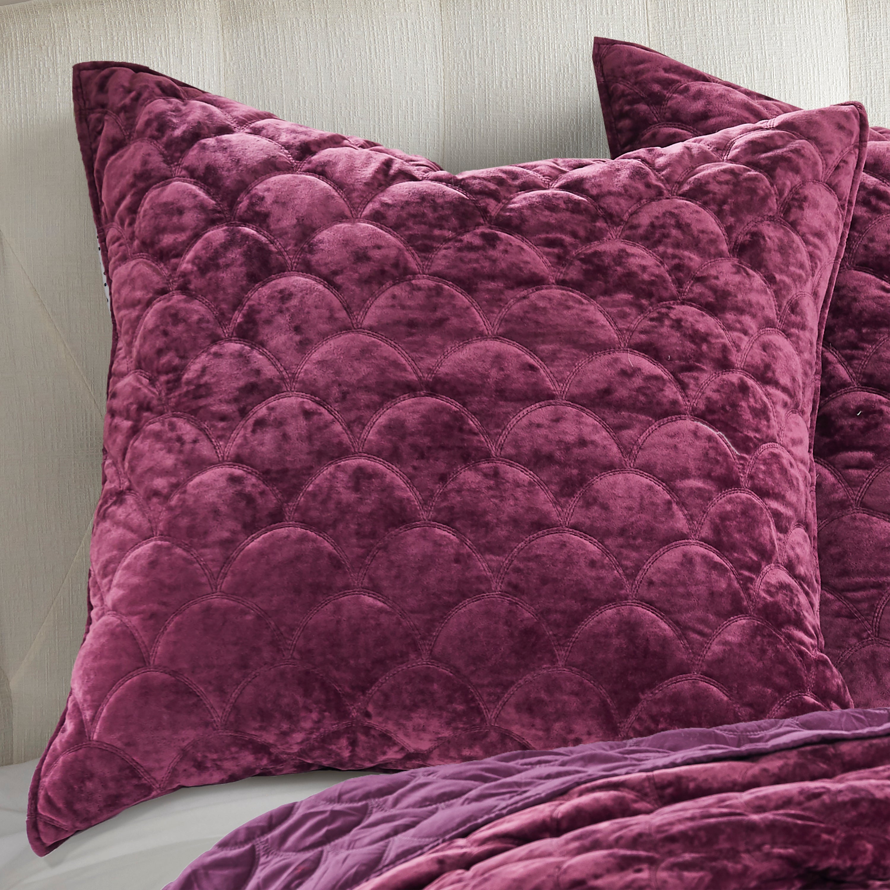 Levtex Home Ellora Plum Velvet Euro Sham Euro Shams