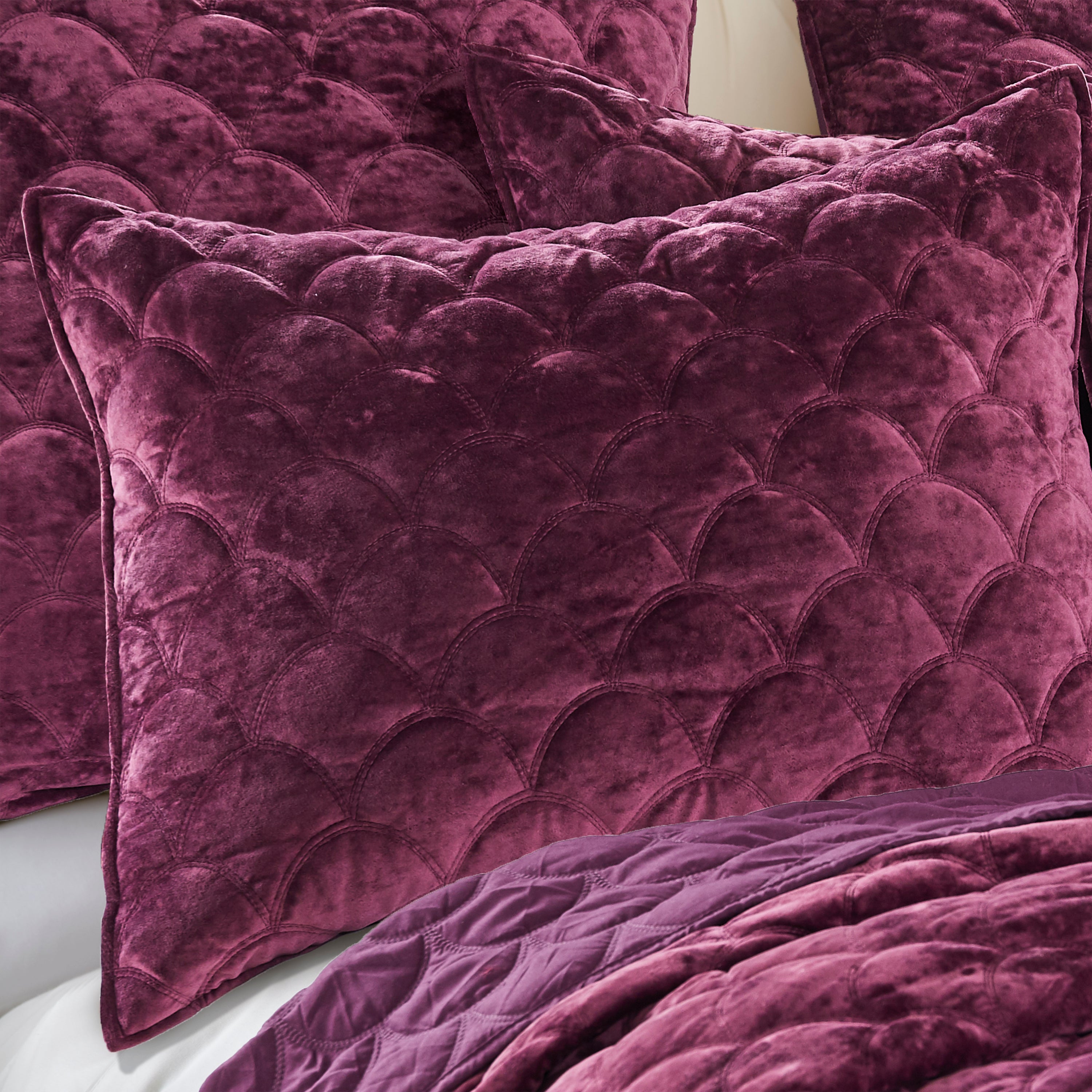 Levtex Home Ellora Plum Velvet Standard Sham Shams