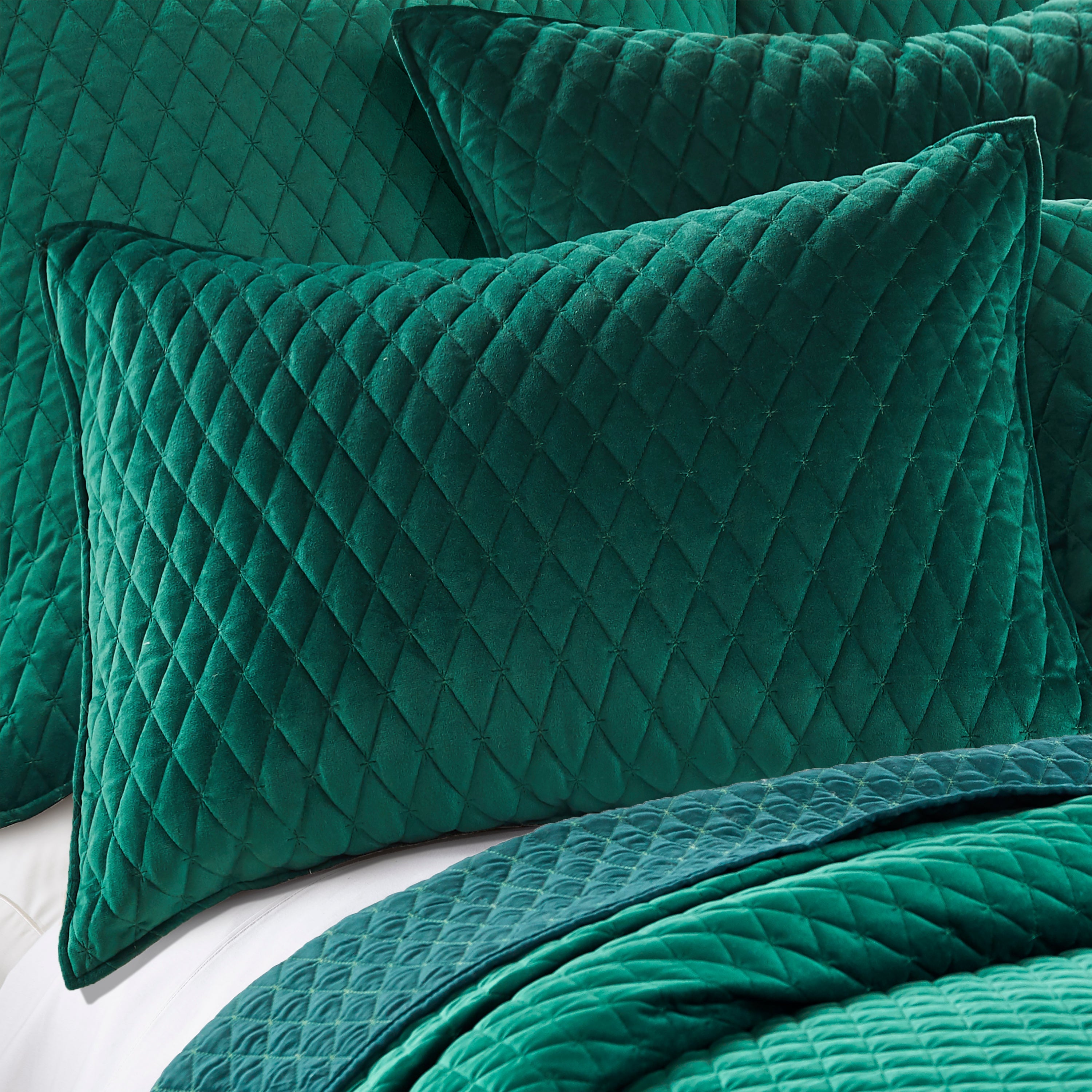 Levtex Home Empire Velvet Green Quilt Quilts