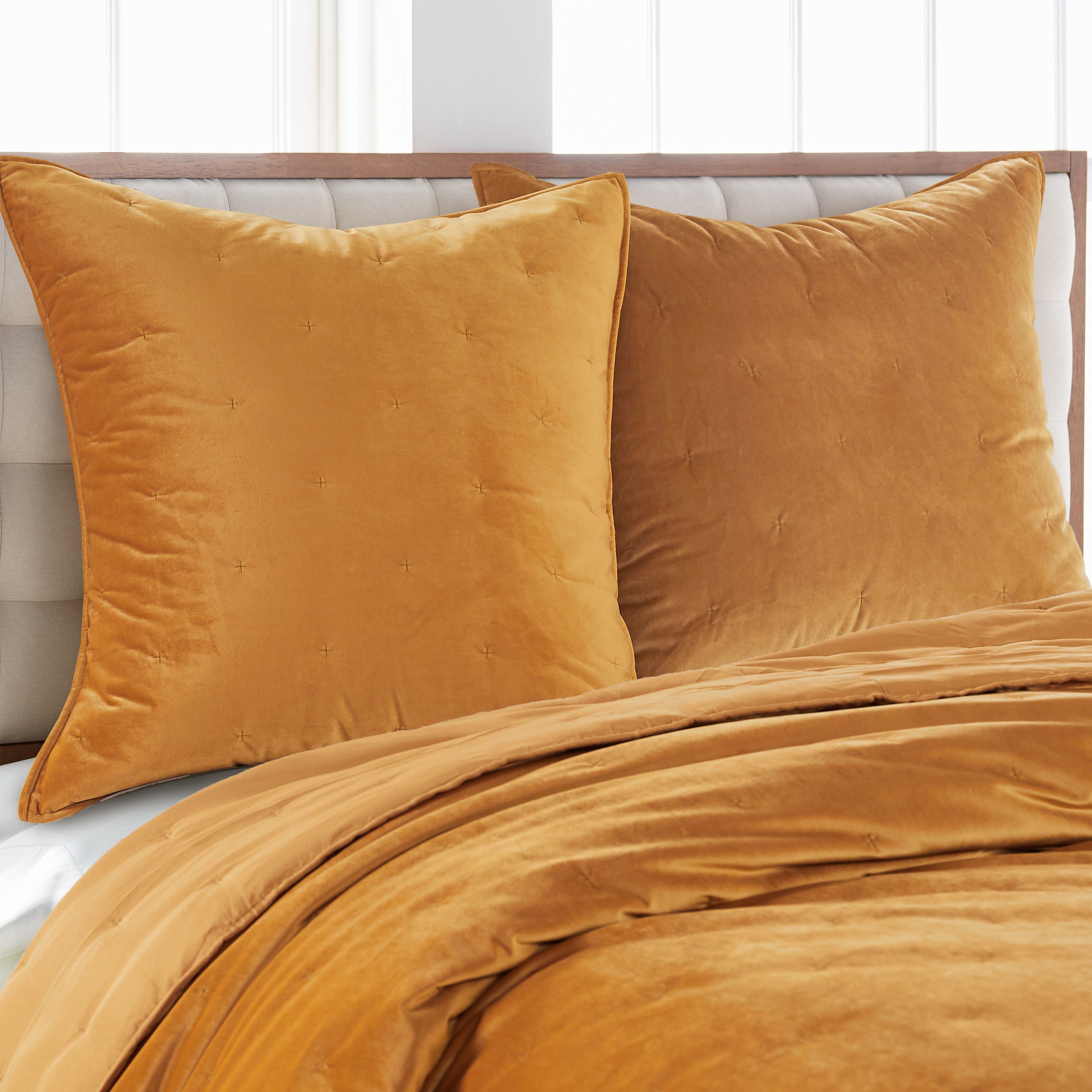 Levtex Home Calabria Velvet Ochre Euro Sham Euro Shams