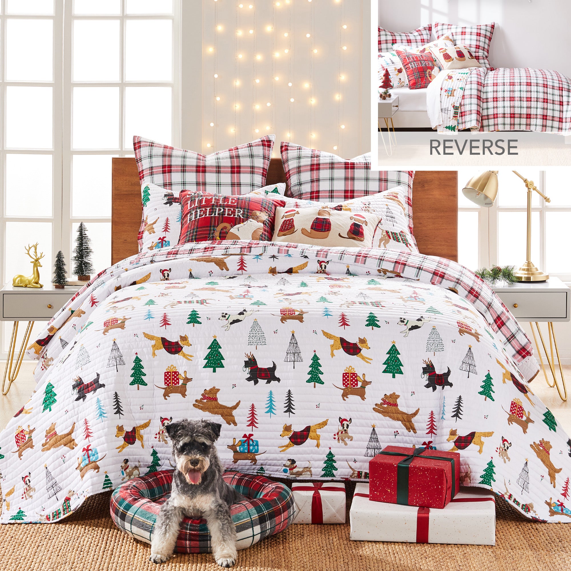Levtex Home Jingle Paws Quilt Set Quilts