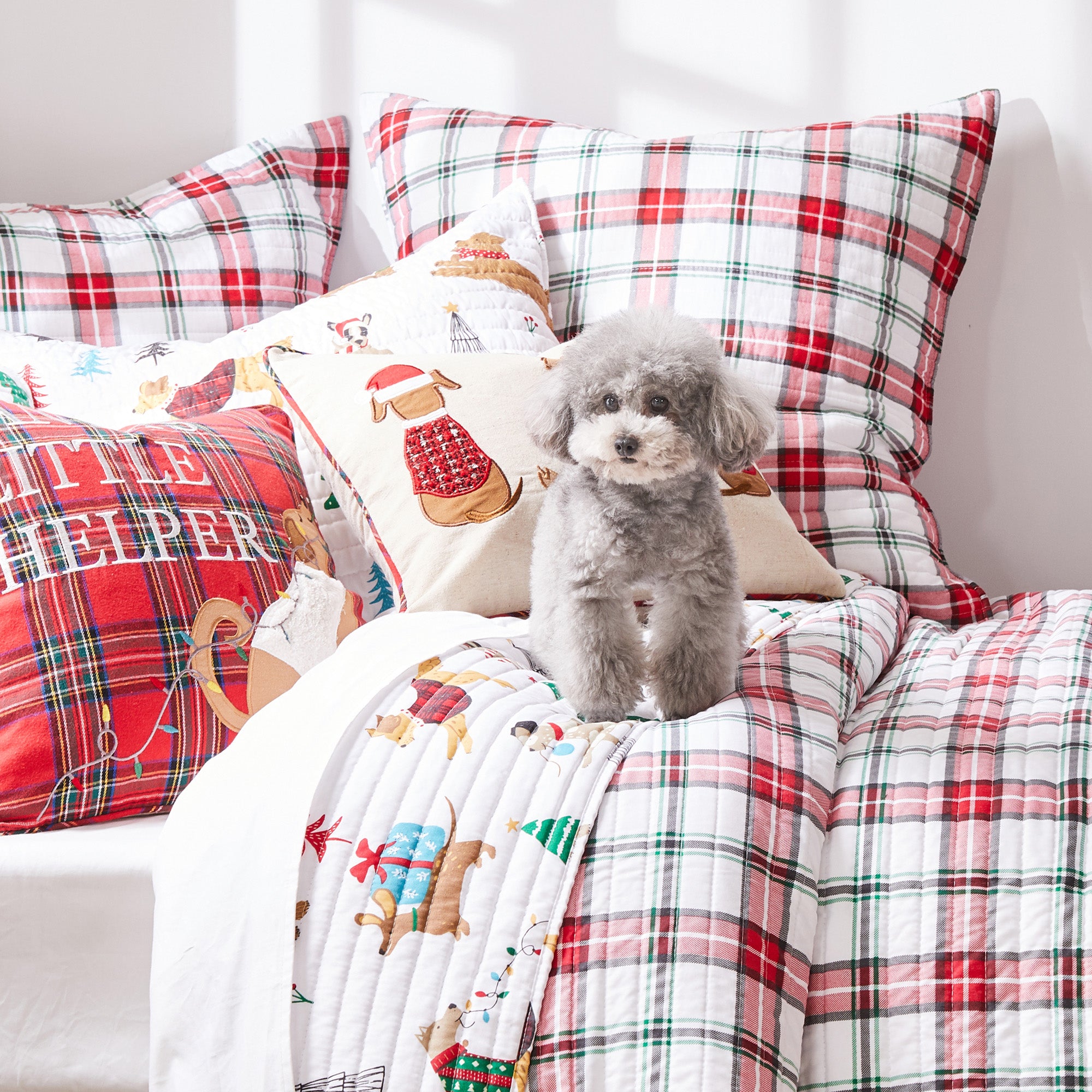 Levtex Home Jingle Paws Quilt Set Quilts