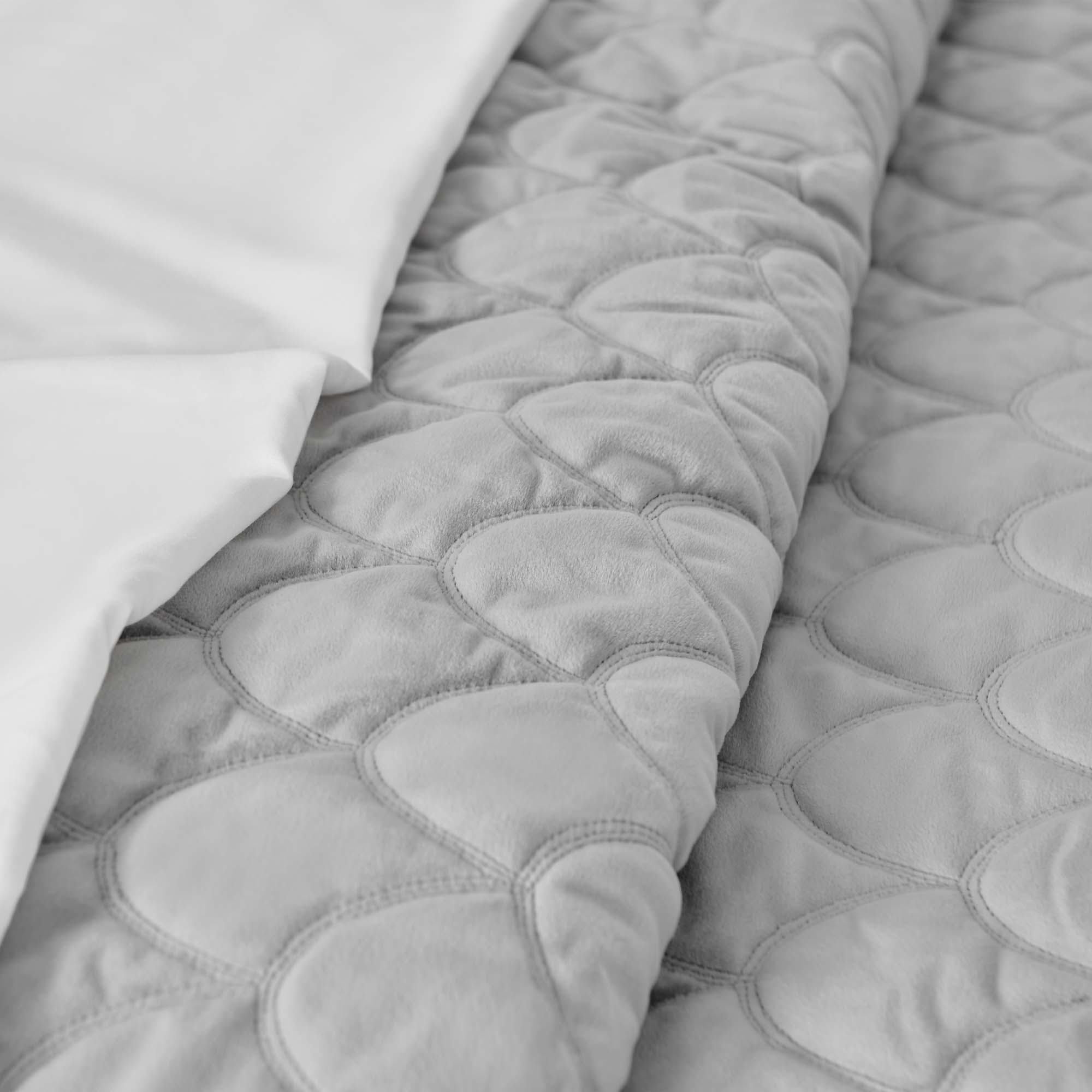 Levtex Home Velvet Quilt Set Quilts