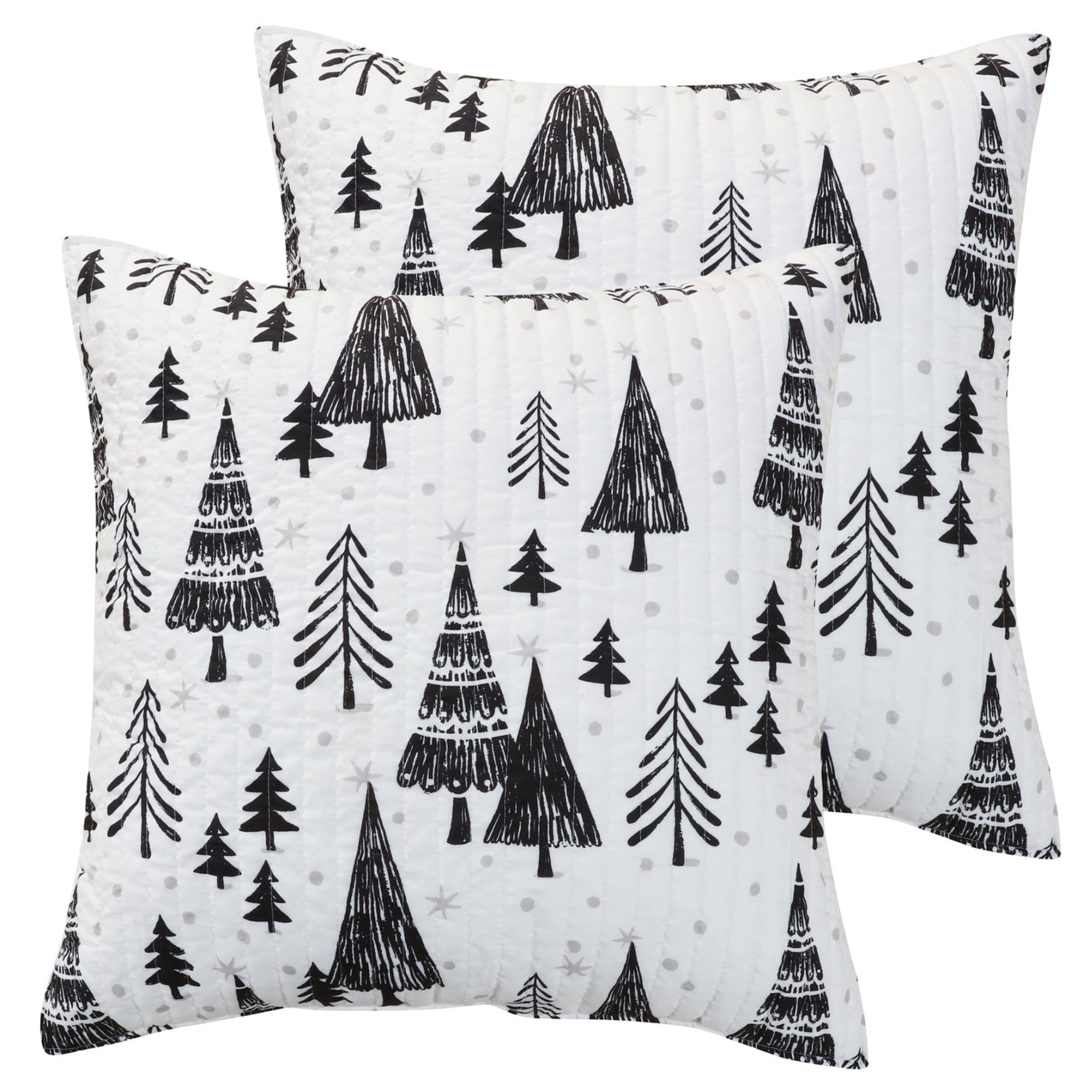 Levtex Home Northern Star Euro Sham Set of 2 Euro Shams