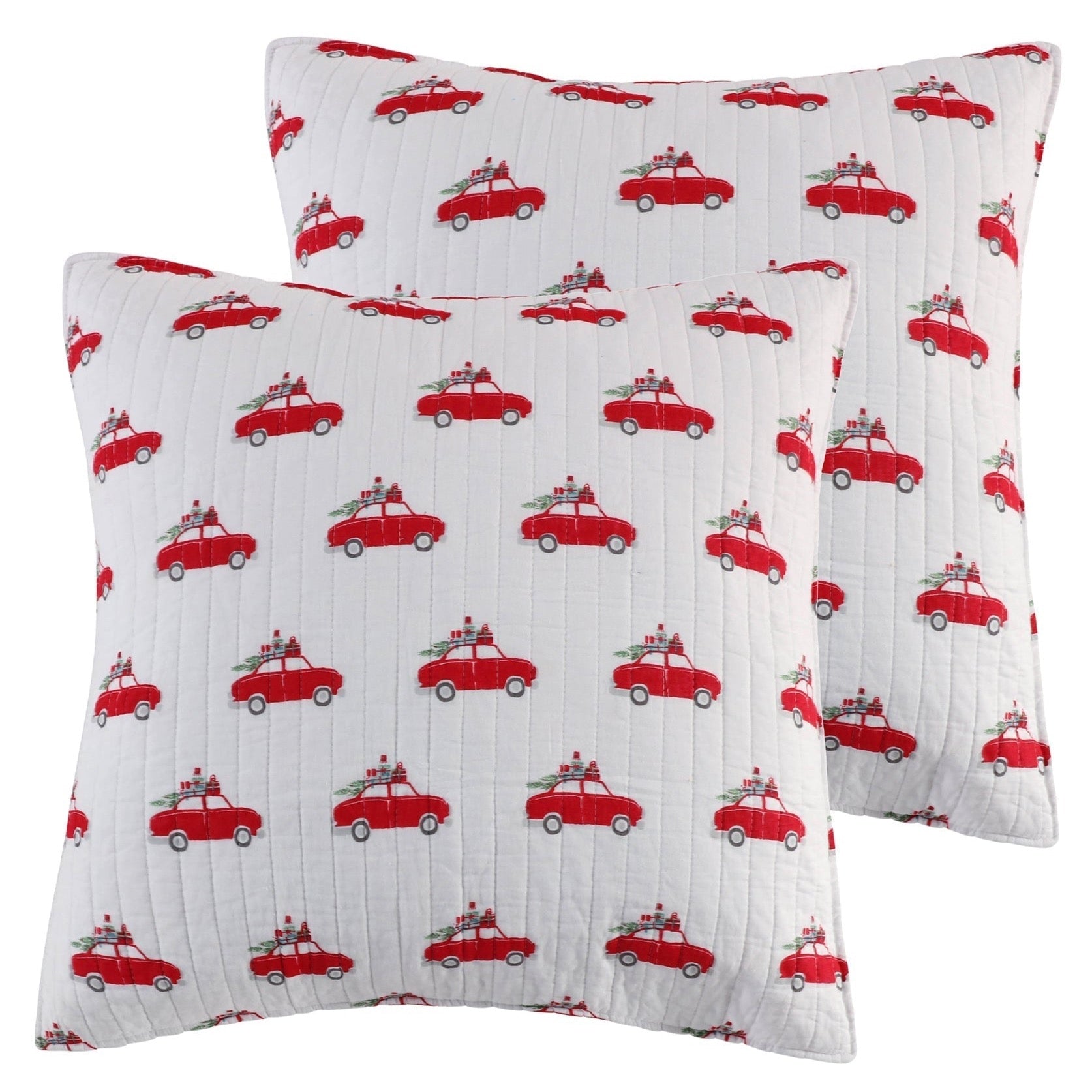 Levtex Home Road Trip Euro Sham Set of 2 Euro Shams