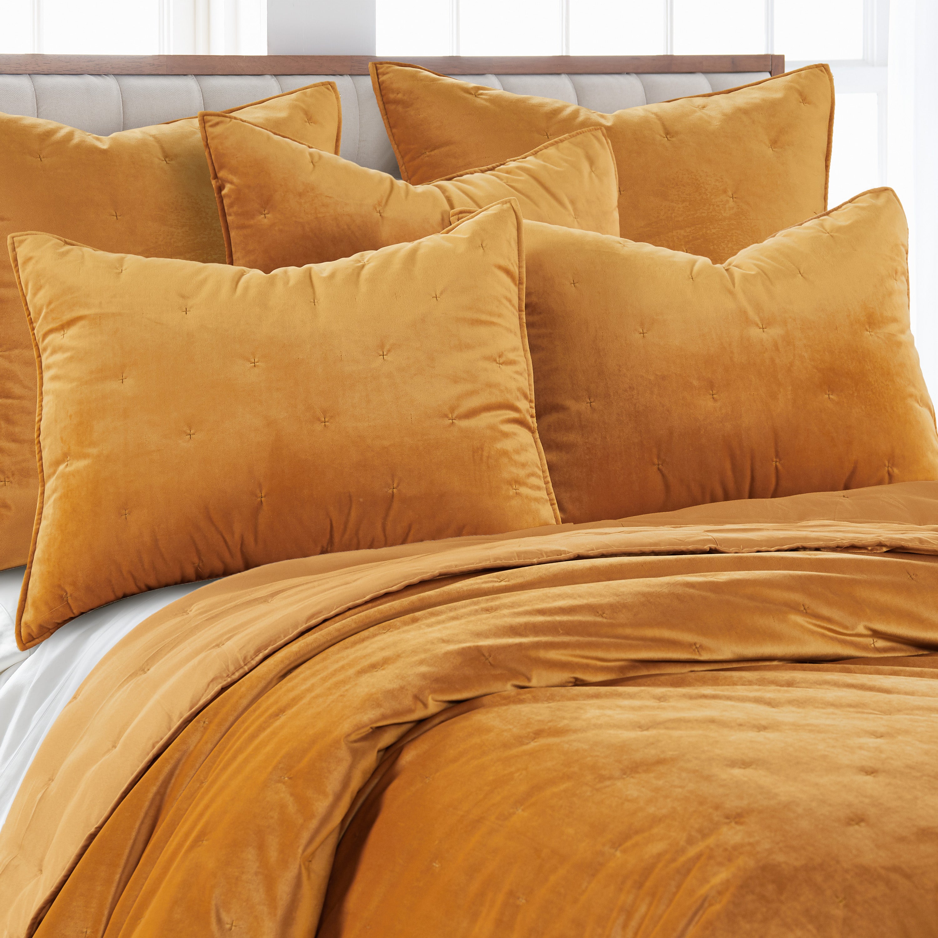Levtex Home BH Calabria Velvet Ochre Standard Sham Shams