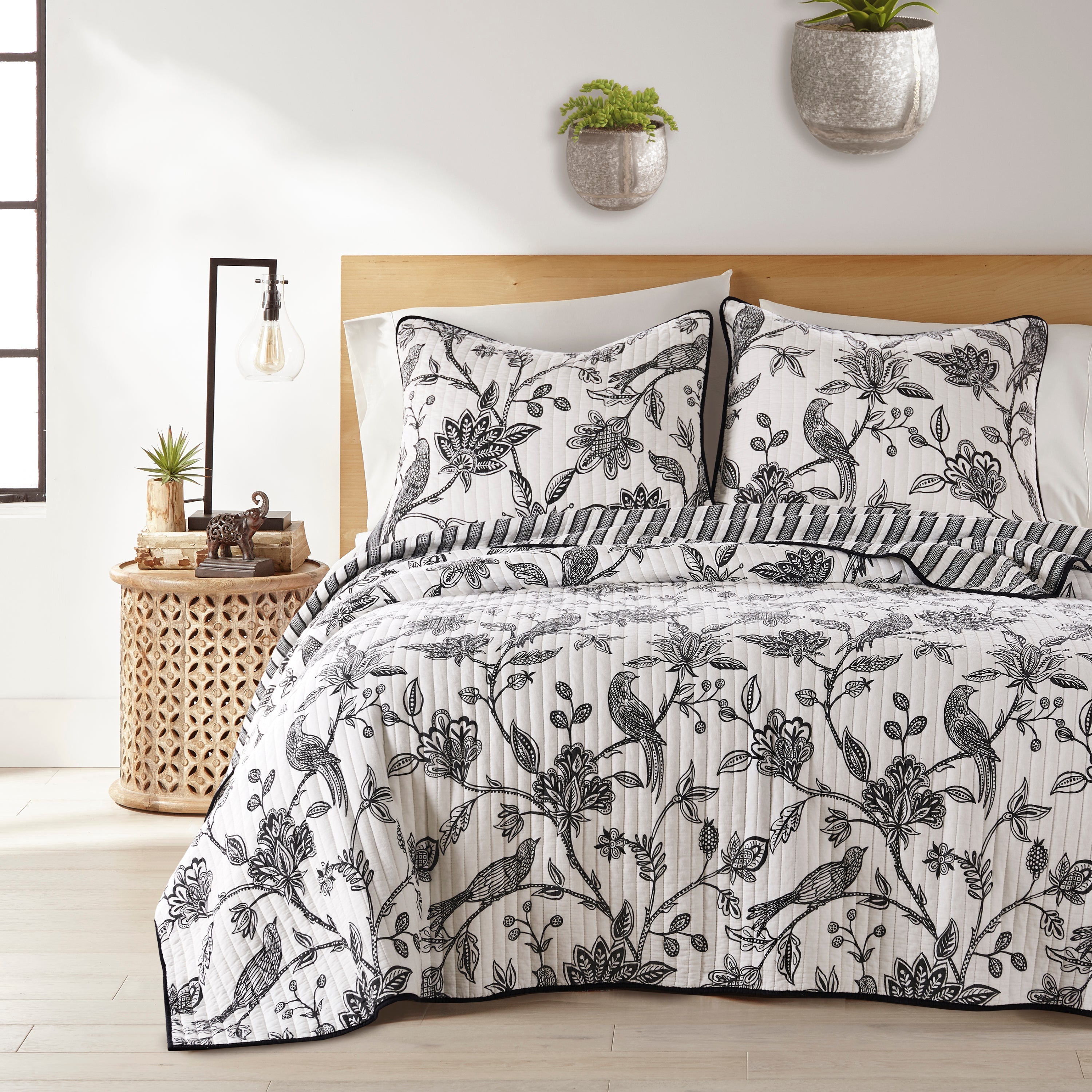 Levtex Home Tanzie Black Quilt Set Quilts