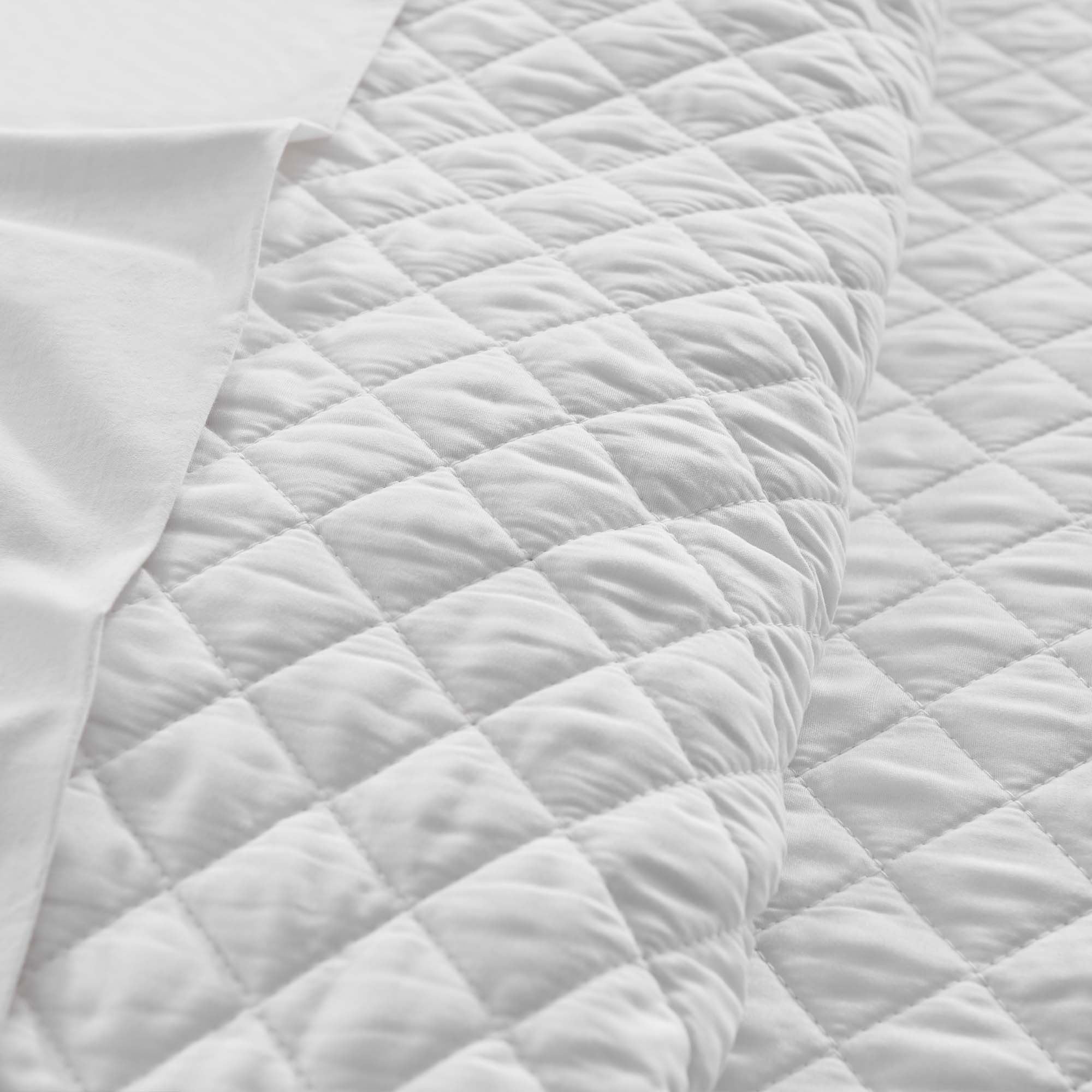 Levtex Home All is Bright Quilt Set Quilts