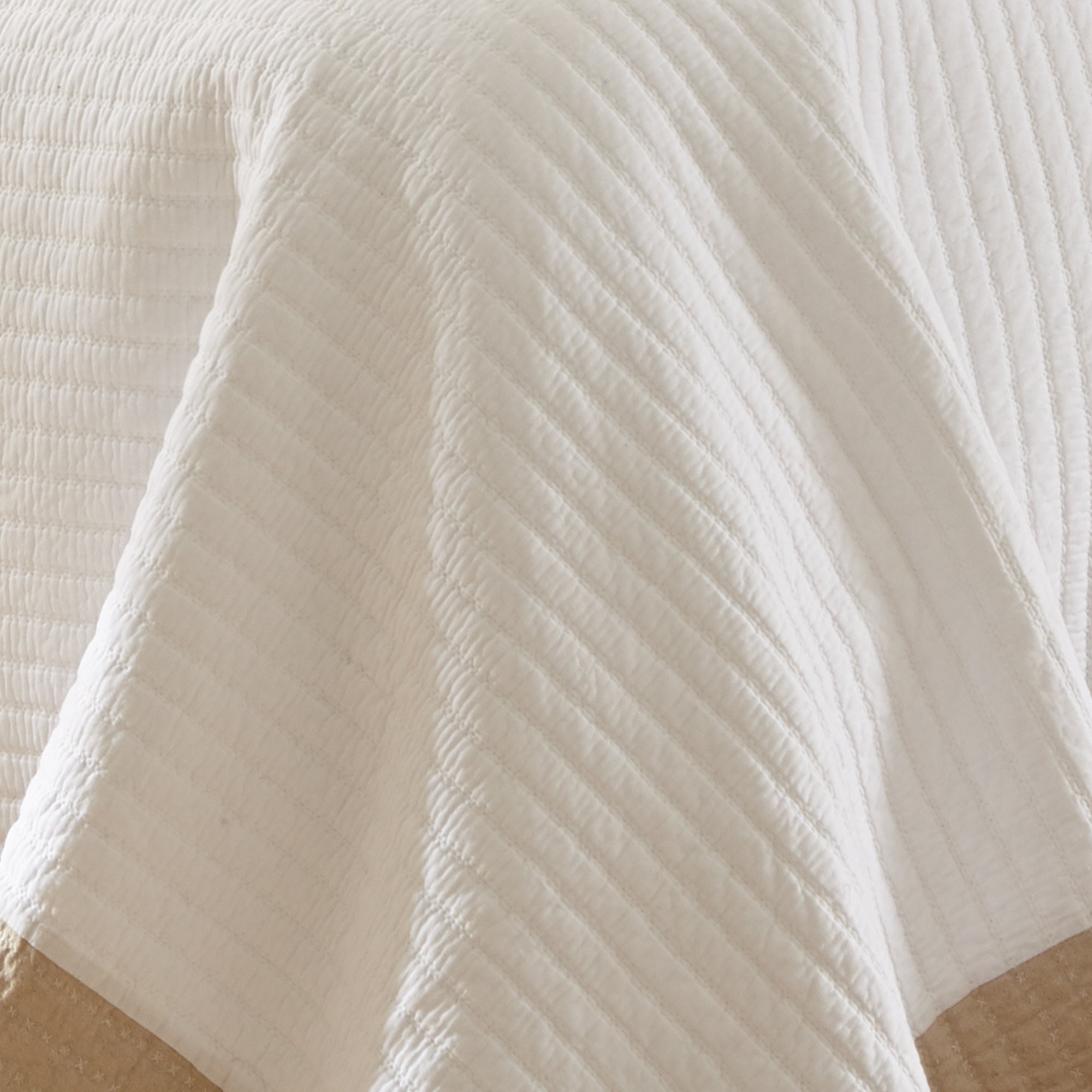 Levtex Home Adobe Border Quilt Set Quilts