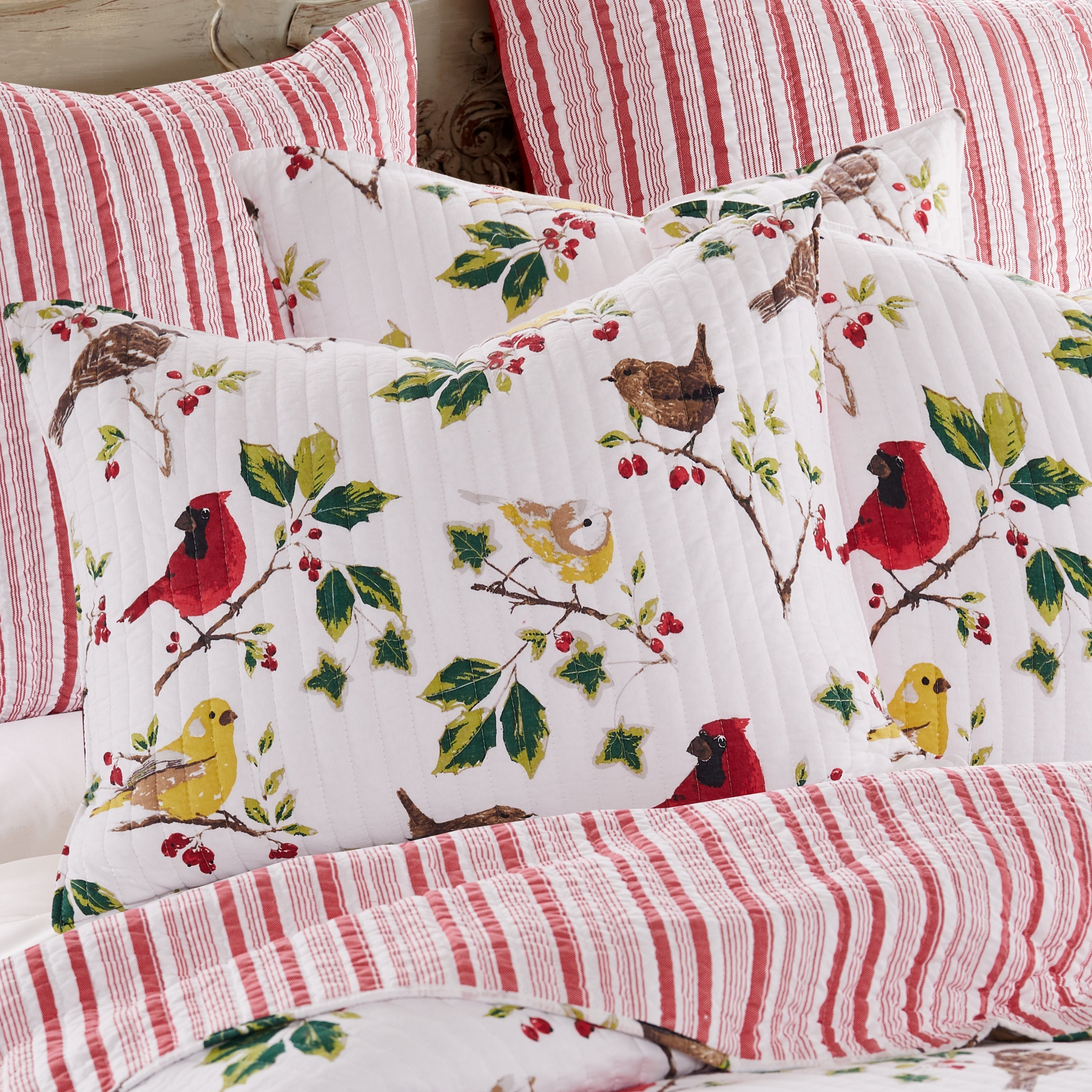 Levtex Home Joy Birds Shams Shams