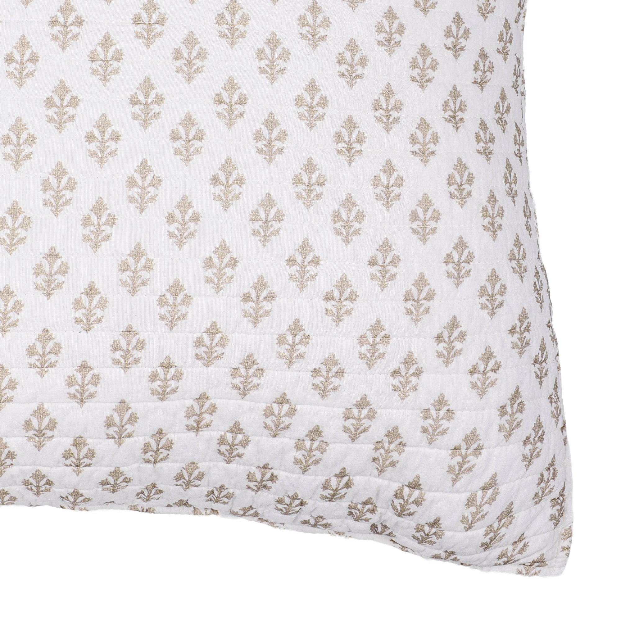 Angelica Euro Shams Set of 2
