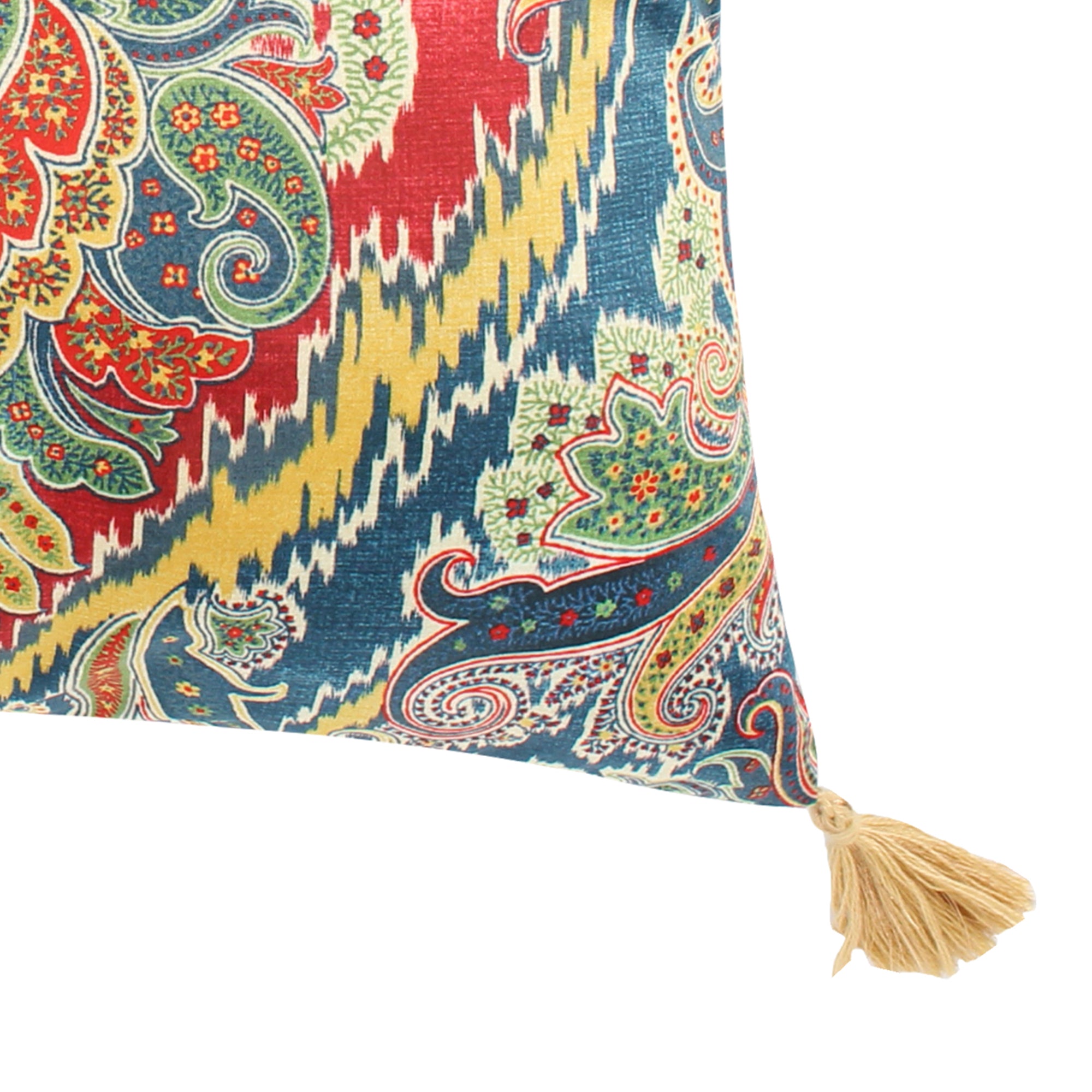 Printed Velvet Medallion Tassel Pillow