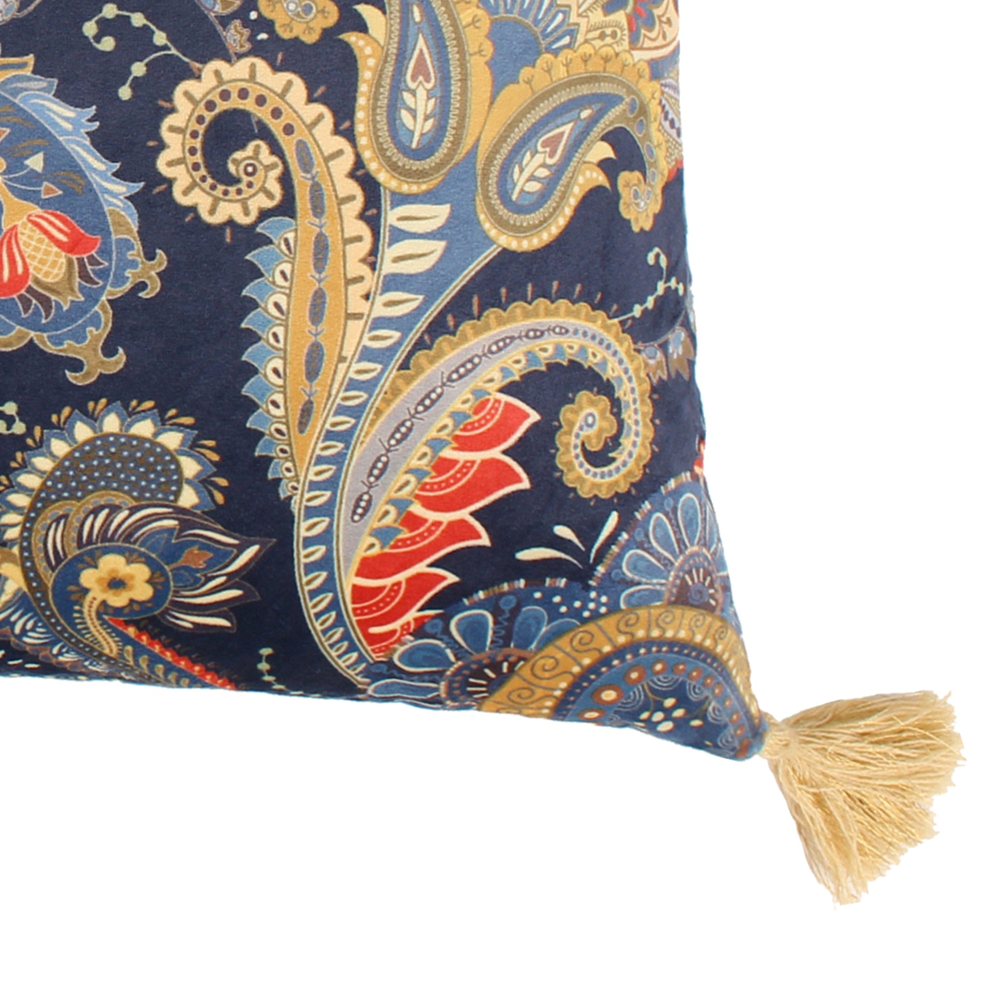 Printed Velvet Paisley Tassel Pillow