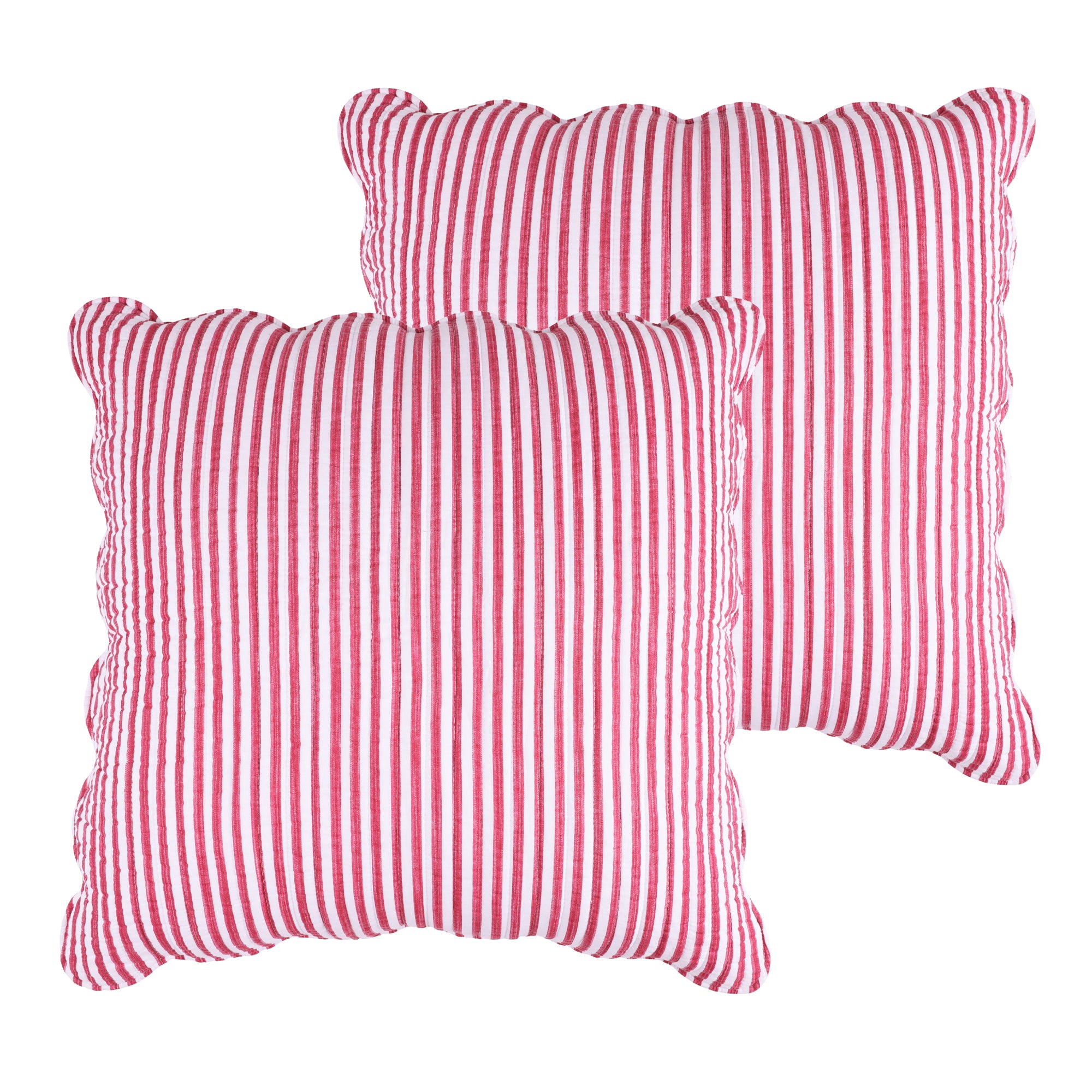 Martha Stripe Euro Sham Set of 2