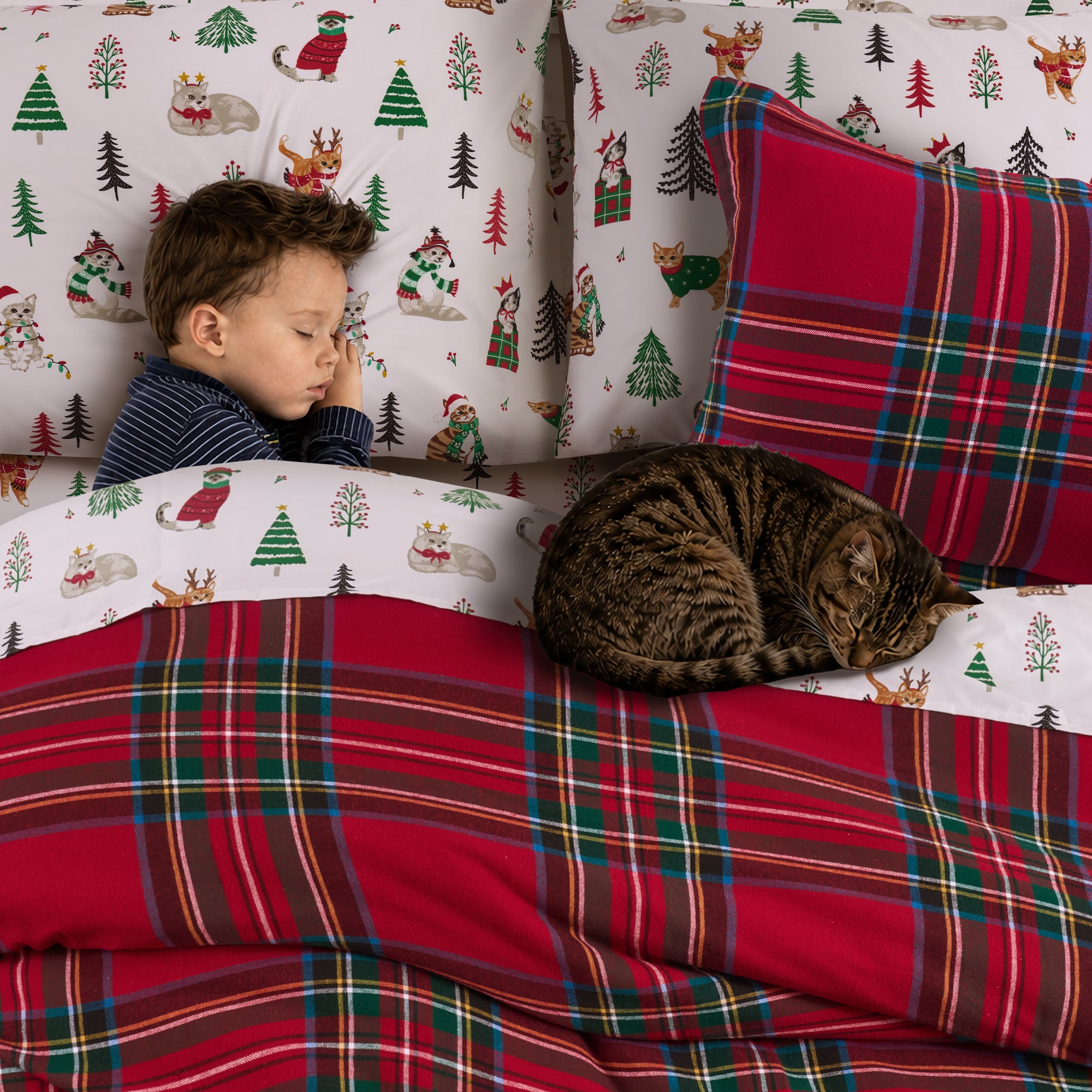 Meowy Christmas Sheet Set