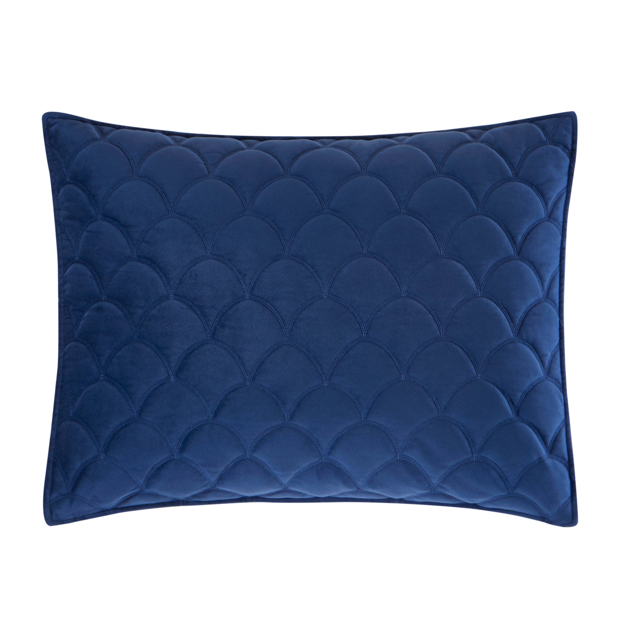 LEVTEX HOME Lorrance Blue Leaves Quilted Cotton Euro Sham (Set of